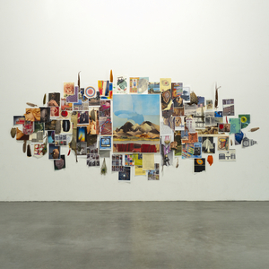 罗宾被发情小麋鹿肉到脱力
