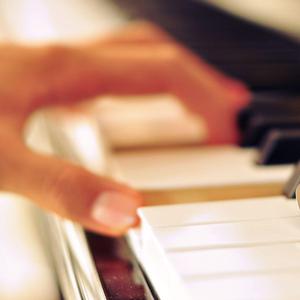 罗宾被发情小麋鹿肉到脱力
