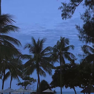 罗宾被发情小麋鹿肉到脱力
